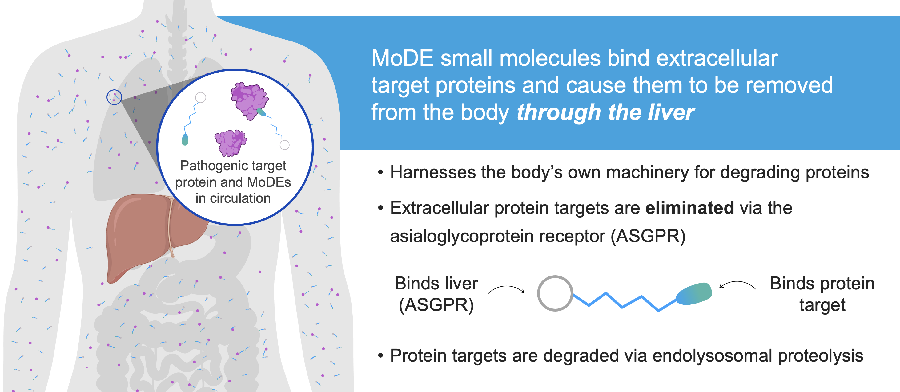 Biohaven MODE - bispecific molecules